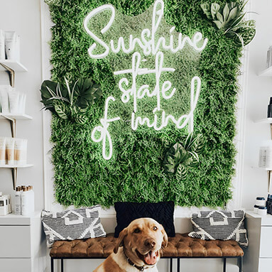 Custom Neon™ salon quote sign on grasswall